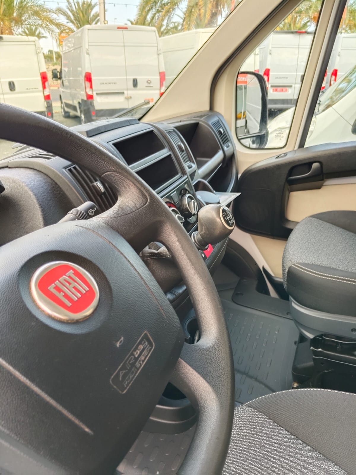 WhatsApp Image 2026-01-12 at 18.20.28