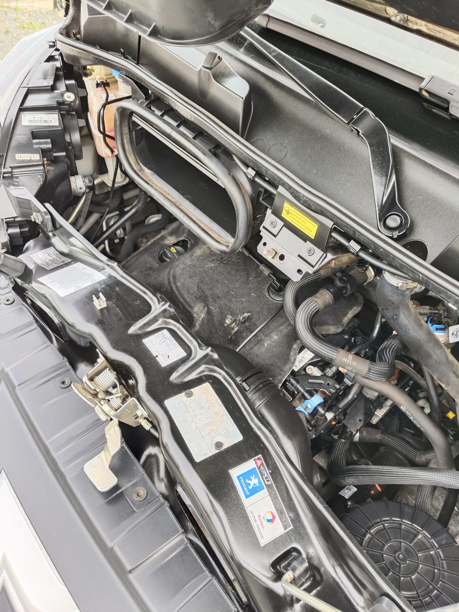 WhatsApp Image 2026-01-21 at 14.12.04 (4)