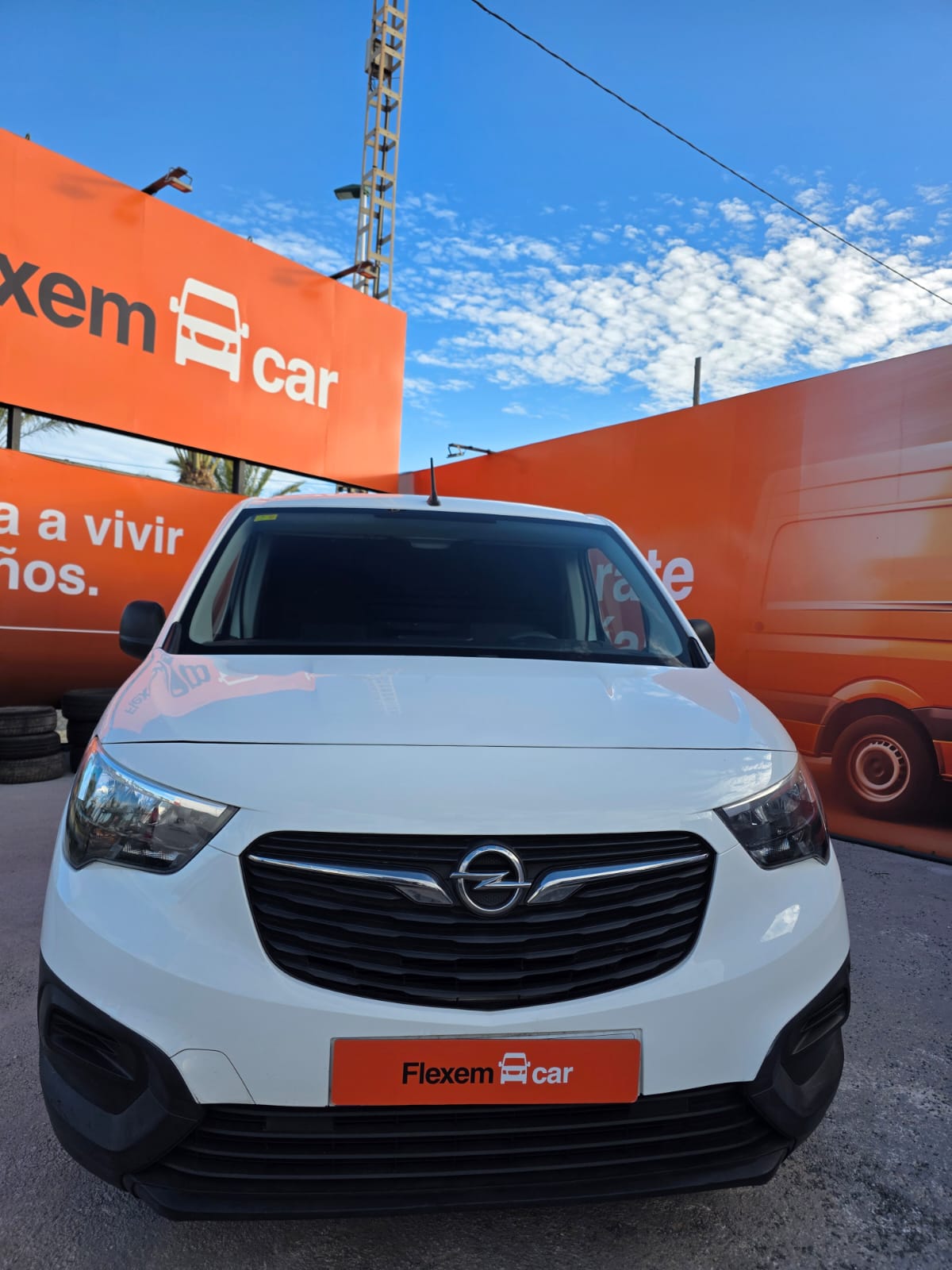 WhatsApp Image 2026-02-12 at 17.42.28 (2)